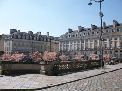 Comment sélectionner son agence SEO à Rennes ?